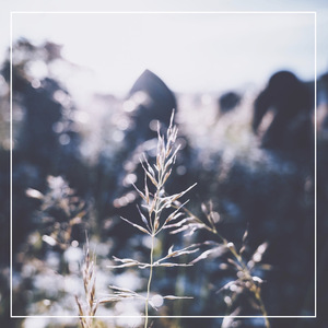 可以看毛片的网站
